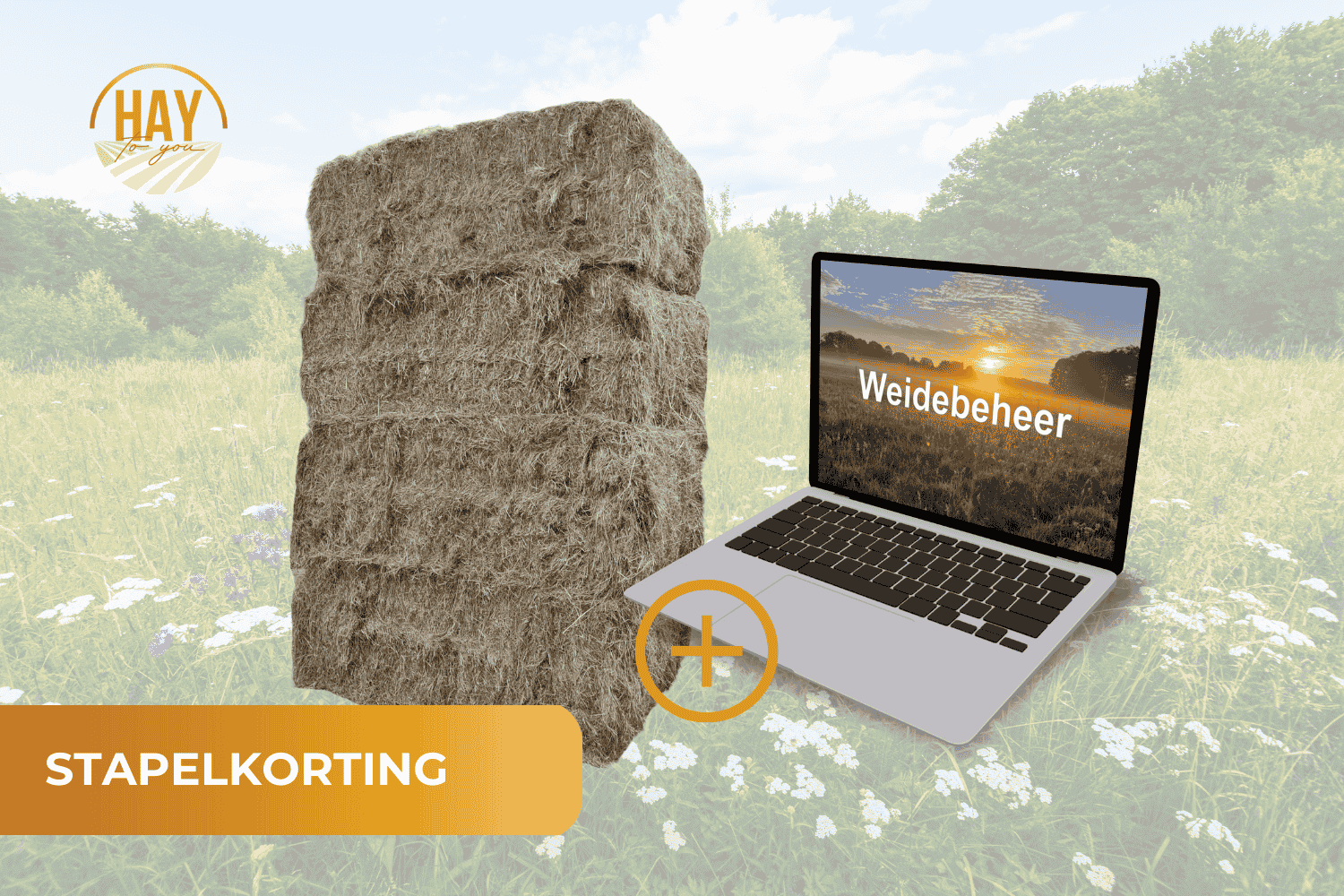 Hay to You Stapelkorting